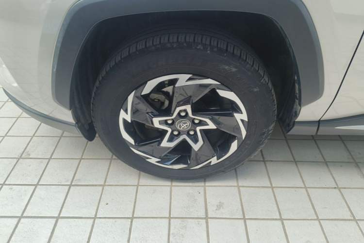 Used Toyota Wildlander 2020 2.0L CVT Two-Wheel Drive Tech Edition Exterior 4