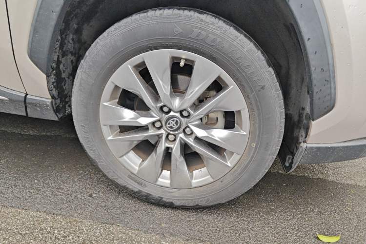 Used Toyota Wildlander 2020 2.0L CVT Two-Wheel Drive Luxury Edition Exterior 7
