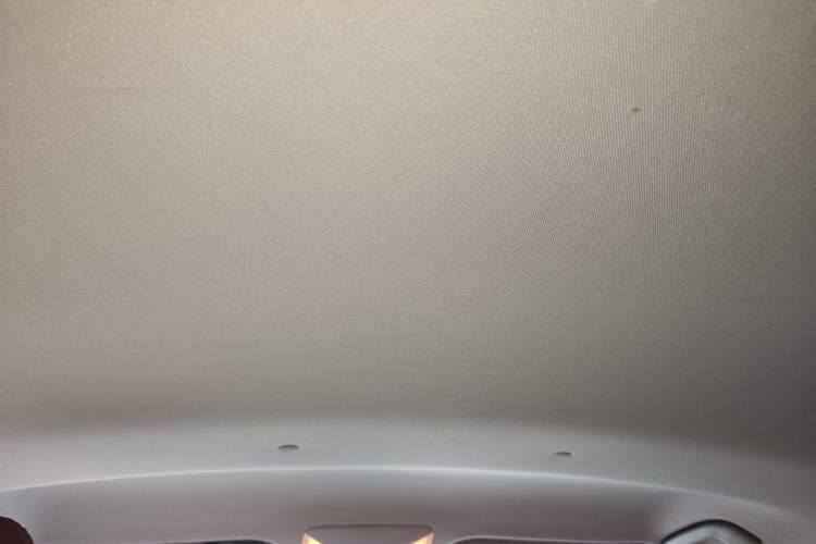 Used Toyota Wildlander 2020 2.0L CVT Two-Wheel Drive Leading Edition Headliner