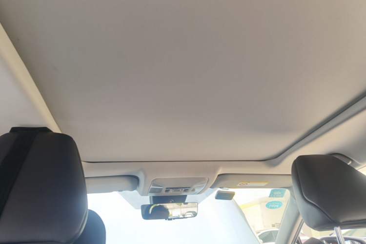 Used Toyota Wildlander 2020 2.0L CVT Two-Wheel Drive Tech Edition Headliner
