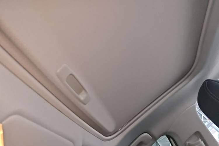 Used Toyota Wildlander 2020 Dual-Motor 2.5L E-CVT Four-Wheel Drive Luxury Edition Headliner