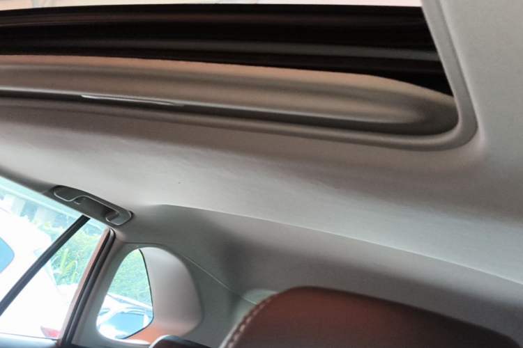 Used Toyota Wildlander 2020 Dual-Engine 2.5L E-CVT Two-Wheel Drive Luxury Edition Headliner