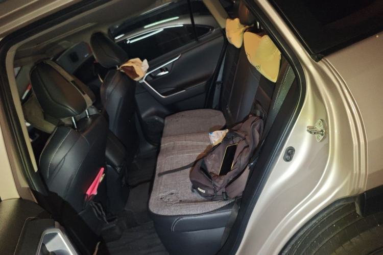 Used Toyota Wildlander 2020 Dual-Engine 2.5L E-CVT Two-Wheel Drive Prestige Edition Left Rear Seat