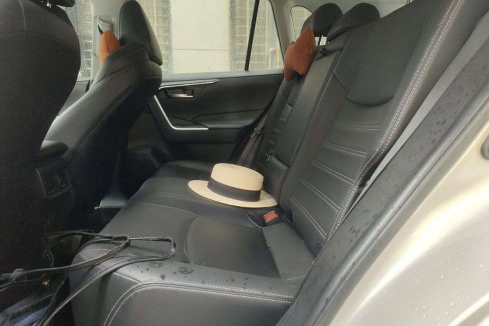 Used Toyota Wildlander 2020 2.0L CVT 4x4 Luxury Edition Left Rear Seat