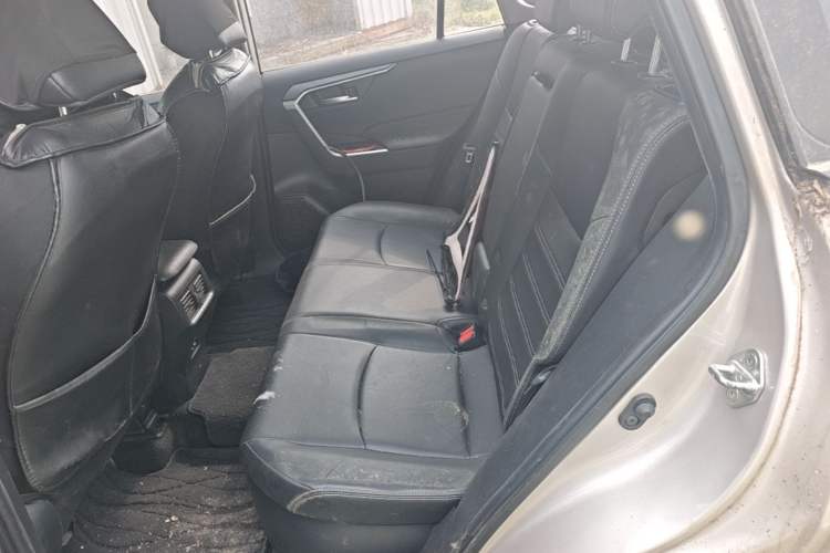 Used Toyota Wildlander 2020 Dual-Motor 2.5L E-CVT Four-Wheel Drive Luxury Edition Left Rear Seat