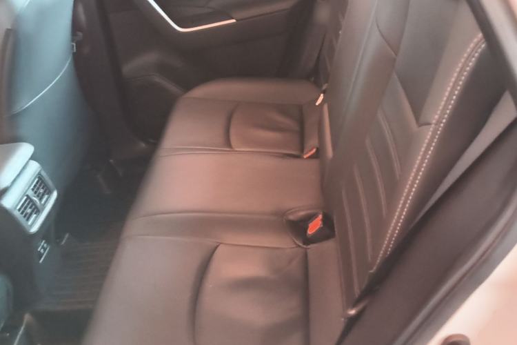 Used Toyota Wildlander 2020 Dual-Engine 2.5L E-CVT Two-Wheel Drive Luxury Edition Left Rear Seat
