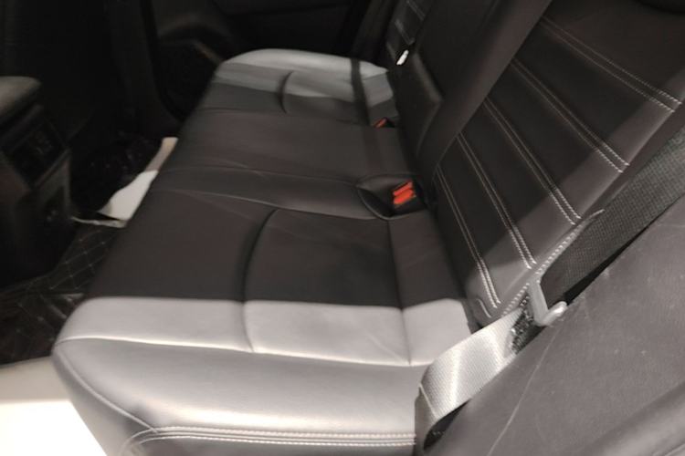 Used Toyota Wildlander 2020 2.0L CVT Two-Wheel Drive Luxury Edition Left Rear Seat