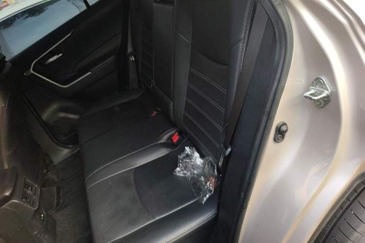Used Toyota Wildlander 2020 2.0L CVT Two-Wheel Drive Luxury Edition Left Rear Seat