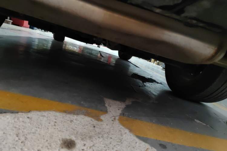Used Toyota Wildlander 2020 2.0L CVT Two-Wheel Drive Leading Edition Chassis Rear