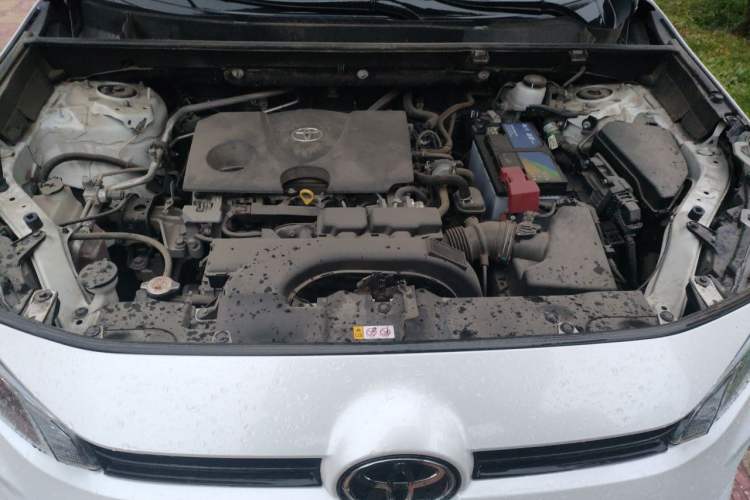 Used Toyota Wildlander 2020 2.0L CVT 4x4 Luxury Edition Engine Bay