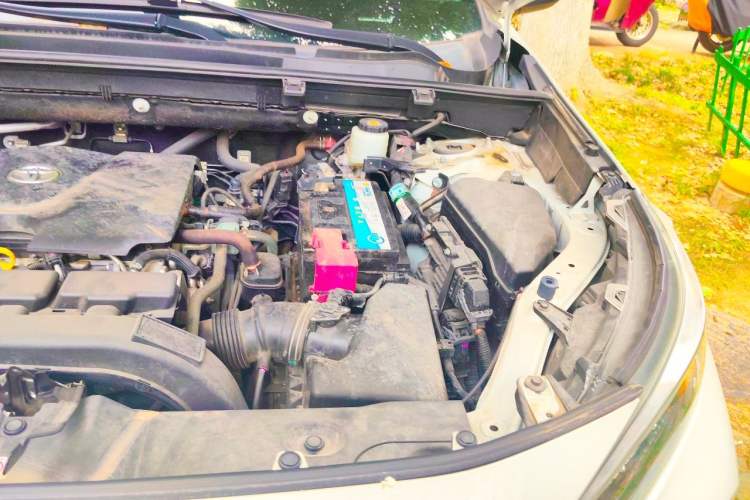 Used Toyota Wildlander 2020 2.0L CVT Two-Wheel Drive Luxury Edition Engine Bay Left