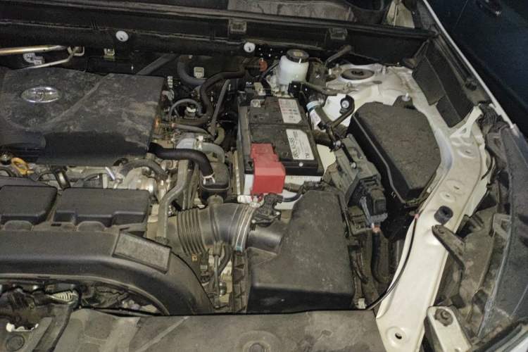 Used Toyota Wildlander 2020 2.0L CVT Two-Wheel Drive Luxury Edition Engine Bay Left