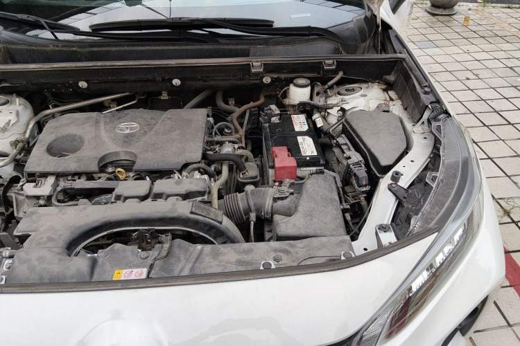 Used Toyota Wildlander 2020 2.0L CVT Two-Wheel Drive Leading Edition Engine Bay Left