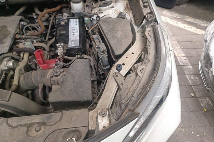 Used Toyota Wildlander 2020 2.0L CVT 4x4 Luxury Edition Engine Bay Left
