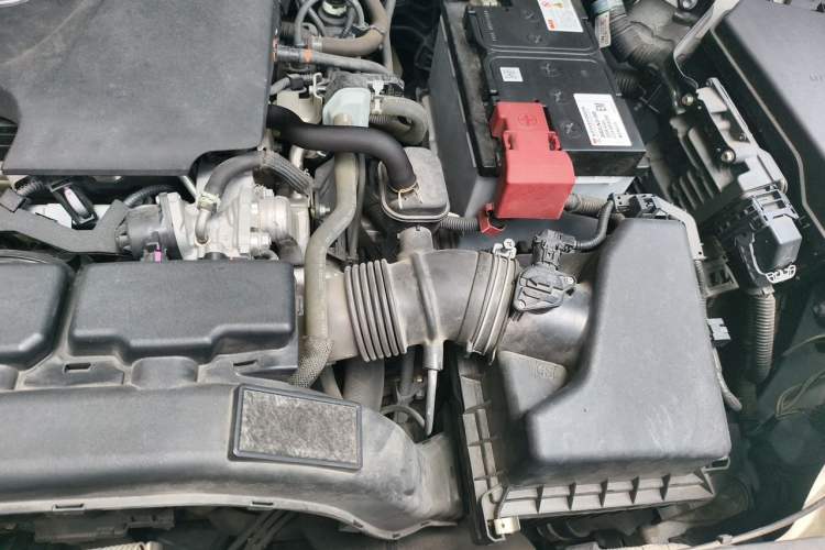 Used Toyota Wildlander 2020 2.0L CVT Two-Wheel Drive Luxury Edition Engine Bay Left