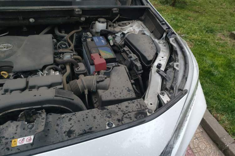 Used Toyota Wildlander 2020 2.0L CVT 4x4 Luxury Edition Engine Bay Left