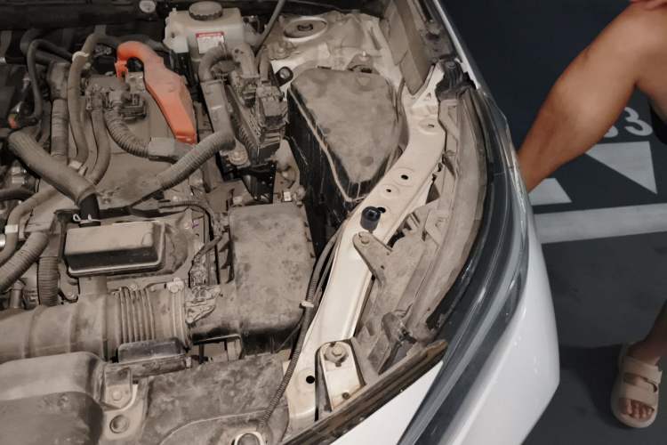 Used Toyota Wildlander 2020 Dual-Motor 2.5L E-CVT Four-Wheel Drive Luxury Edition Engine Bay Left
