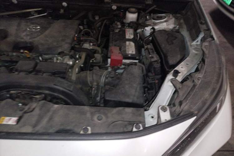 Used Toyota Wildlander 2020 2.0L CVT 4x4 Luxury Edition Engine Bay Left