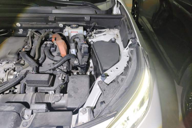 Used Toyota Wildlander 2020 Dual-Motor 2.5L E-CVT Four-Wheel Drive Luxury Edition Engine Bay Left