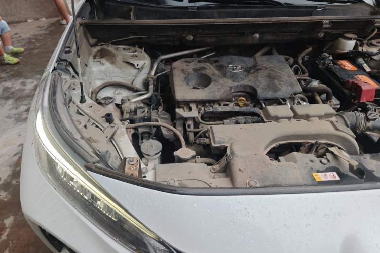 Used Toyota Wildlander 2020 2.0L CVT Two-Wheel Drive Luxury Edition Engine Bay Right