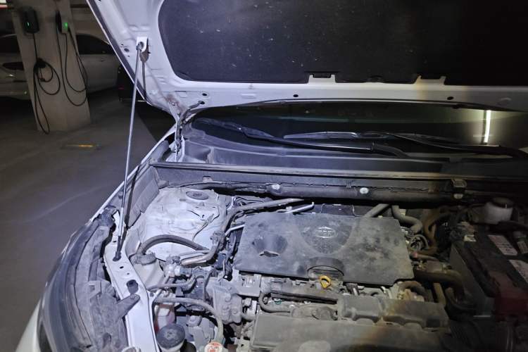 Used Toyota Wildlander 2020 2.0L CVT Two-Wheel Drive Luxury Edition Engine Bay Right