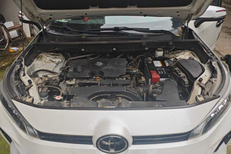 Used Toyota Wildlander 2020 2.0L CVT Two-Wheel Drive Luxury Edition Engine Bay