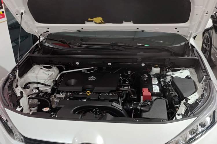 Used Toyota Wildlander 2020 2.0L CVT Two-Wheel Drive Luxury Edition Engine Bay