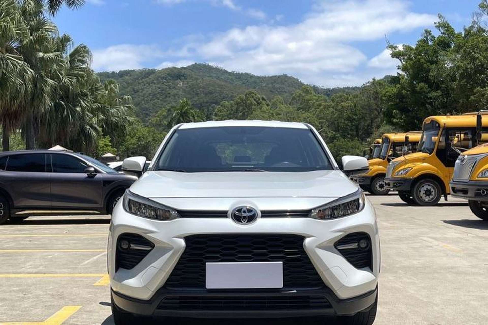 Used Toyota Wildlander 2020 2.0L CVT Two-Wheel Drive Leading Edition Exterior 4