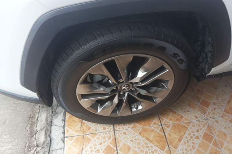 Used Toyota Wildlander 2020 2.0L CVT Two-Wheel Drive Luxury Edition Exterior 4
