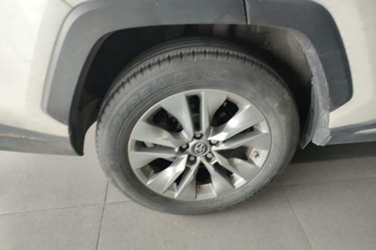 Used Toyota Wildlander 2020 2.0L CVT Two-Wheel Drive Luxury Edition Exterior 5