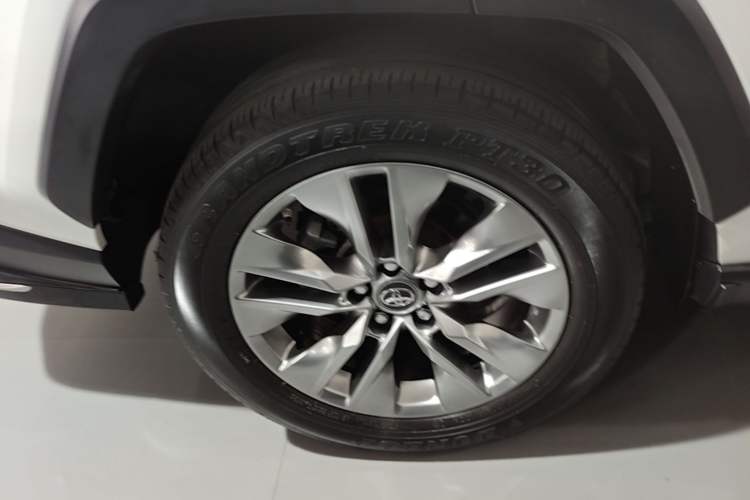 Used Toyota Wildlander 2020 2.0L CVT Two-Wheel Drive Luxury Edition Exterior 5