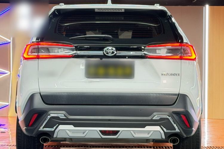 Used Toyota Wildlander 2020 2.0L CVT Two-Wheel Drive Luxury Edition Exterior 6