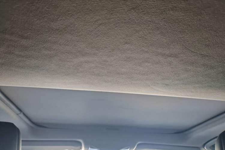 Used Toyota Wildlander 2020 Dual-Motor 2.5L E-CVT Four-Wheel Drive Luxury Edition Headliner