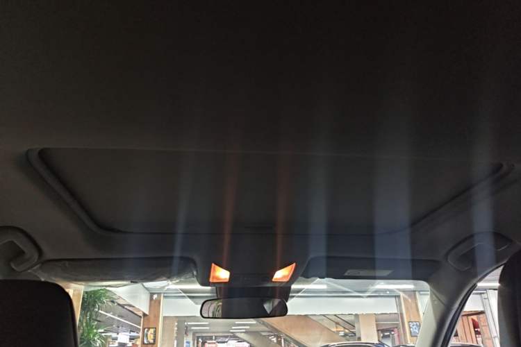 Used Toyota Wildlander 2020 Dual-Motor 2.5L E-CVT Four-Wheel Drive Luxury Edition Headliner
