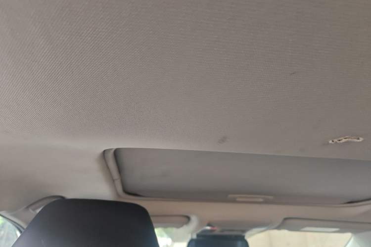 Used Toyota Wildlander 2020 Dual-Engine 2.5L E-CVT Two-Wheel Drive Luxury Edition Headliner
