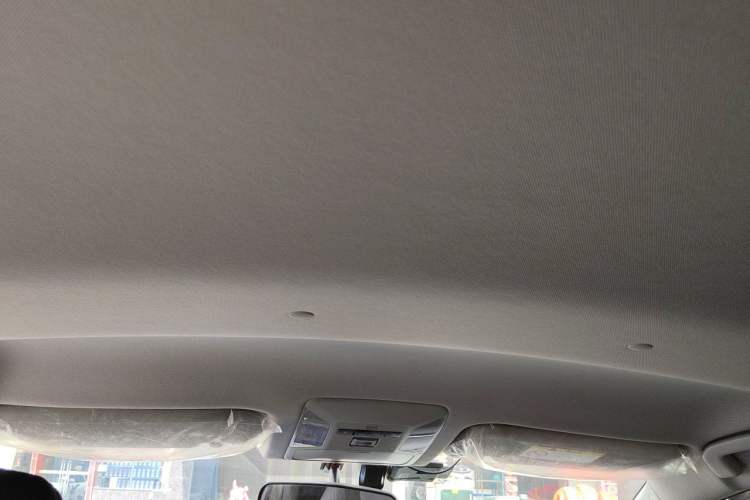 Used Toyota Wildlander 2020 2.0L CVT Two-Wheel Drive Leading Edition Headliner
