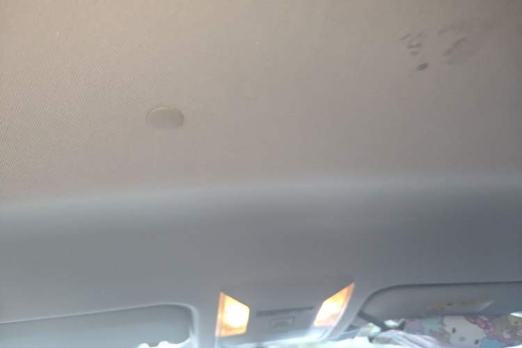 Used Toyota Wildlander 2020 2.0L CVT Two-Wheel Drive Leading Edition Headliner