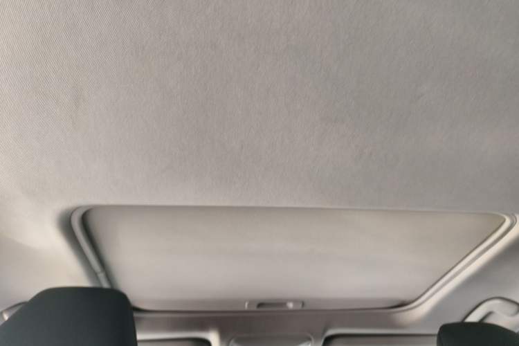 Used Toyota Wildlander 2020 2.0L CVT Two-Wheel Drive Luxury Edition Headliner