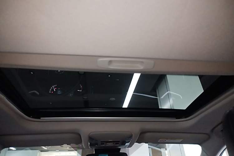 Used Toyota Wildlander 2020 2.0L CVT Four-Wheel Drive Premium Edition Headliner