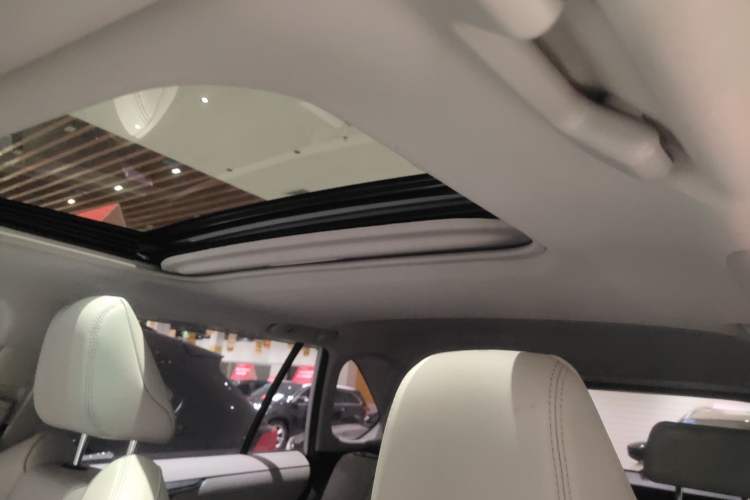 Used Toyota Wildlander 2020 2.0L CVT 4x4 Luxury Edition Headliner