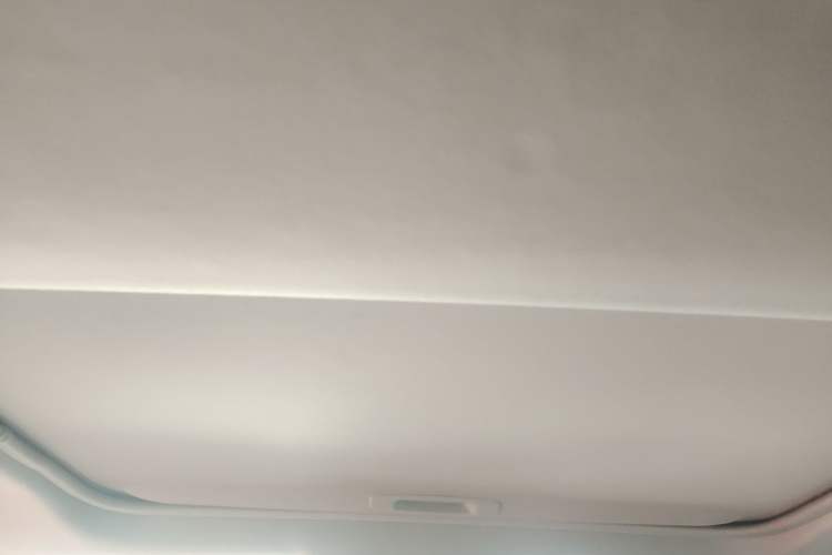 Used Toyota Wildlander 2020 Dual-Motor 2.5L E-CVT Four-Wheel Drive Luxury Edition Headliner