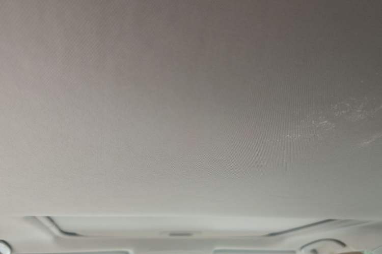 Used Toyota Wildlander 2020 Dual-Engine 2.5L E-CVT Two-Wheel Drive Luxury Edition Headliner