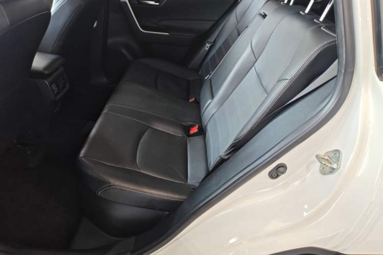 Used Toyota Wildlander 2020 Dual-Motor 2.5L E-CVT Four-Wheel Drive Luxury Edition Left Rear Seat