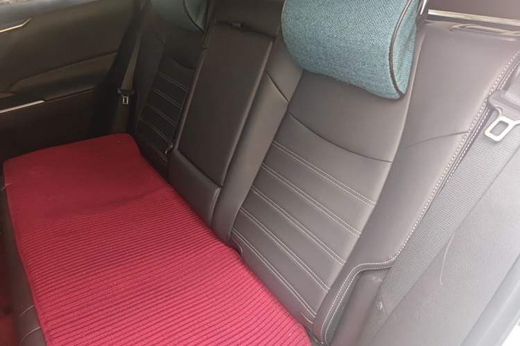 Used Toyota Wildlander 2020 Dual-Motor 2.5L E-CVT Four-Wheel Drive Luxury Edition Left Rear Seat