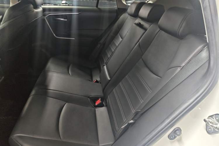 Used Toyota Wildlander 2020 Dual-Motor 2.5L E-CVT Four-Wheel Drive Luxury Edition Left Rear Seat