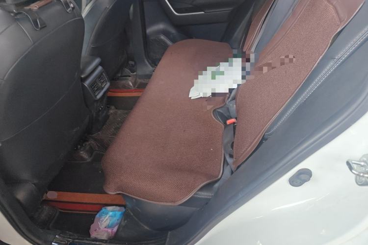 Used Toyota Wildlander 2020 Dual-Engine 2.5L E-CVT Two-Wheel Drive Luxury Edition Left Rear Seat