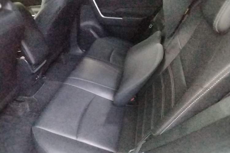 Used Toyota Wildlander 2020 Dual-Engine 2.5L E-CVT Two-Wheel Drive Luxury Edition Left Rear Seat