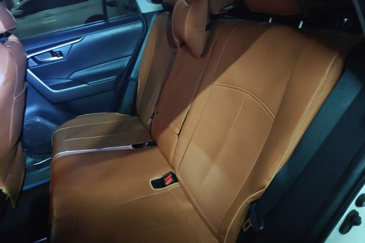Used Toyota Wildlander 2020 2.0L CVT Two-Wheel Drive Luxury Edition Left Rear Seat