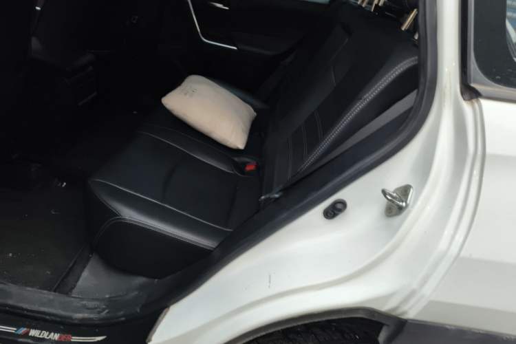 Used Toyota Wildlander 2020 2.0L CVT Two-Wheel Drive Luxury Edition Left Rear Seat