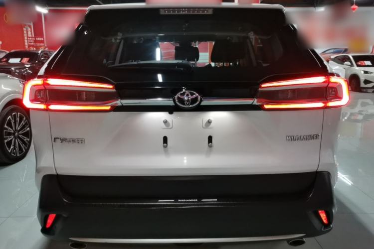 Used Toyota Wildlander 2020 2.0L CVT Four-Wheel Drive Premium Edition Rear